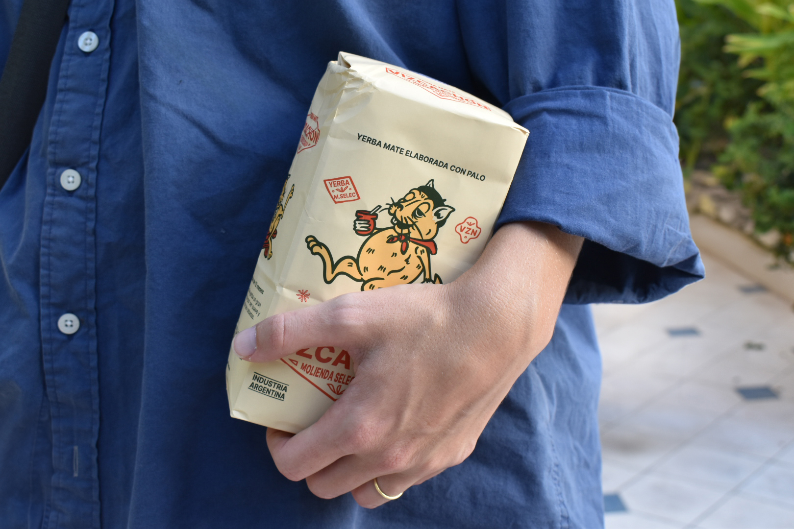 Detalle yerba Vizcachón